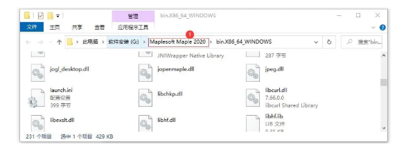 Maplesoft Maple v2020.0 科学计算 安装激活详解（下载）