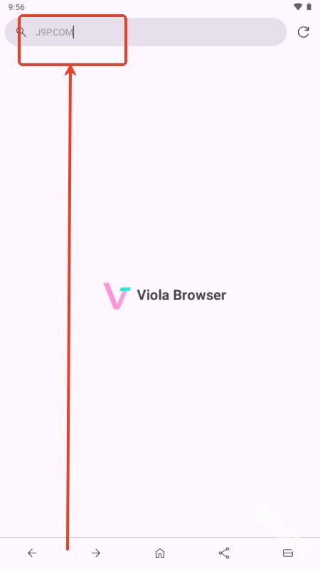 Viola Next