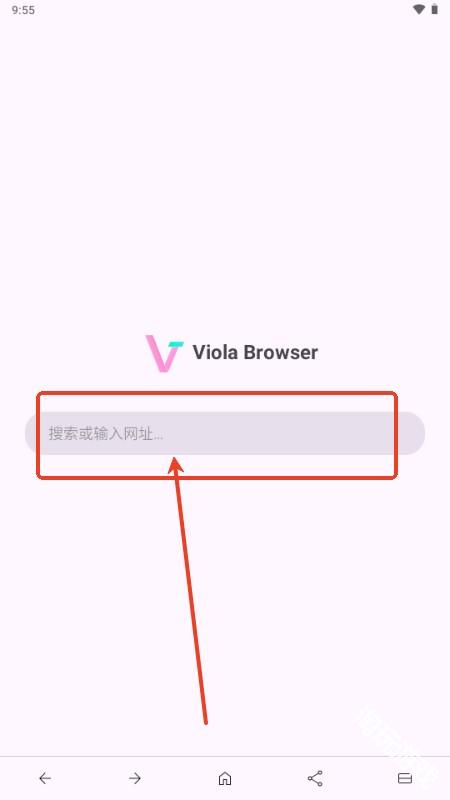 Viola Next