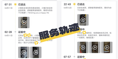 宠嗒嗒