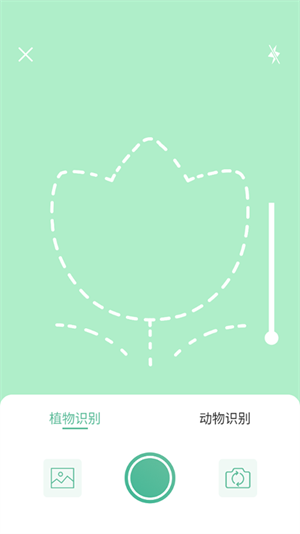 智能扫描王