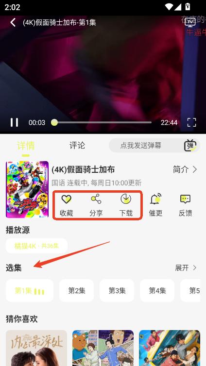 橘猫4K影视app官方正版下载