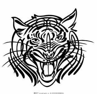 猛虎直播免费版