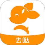 去上网