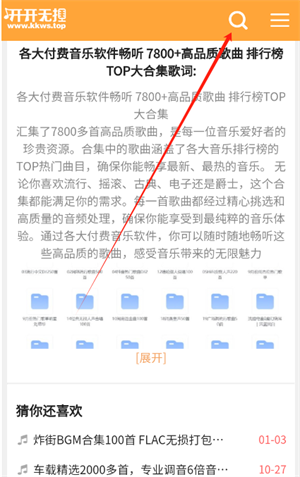 开开无损音乐网