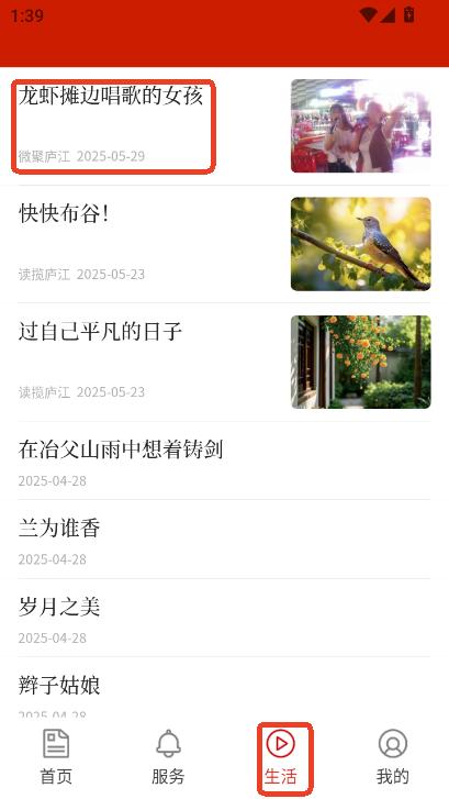 大美庐江app2025官方正版