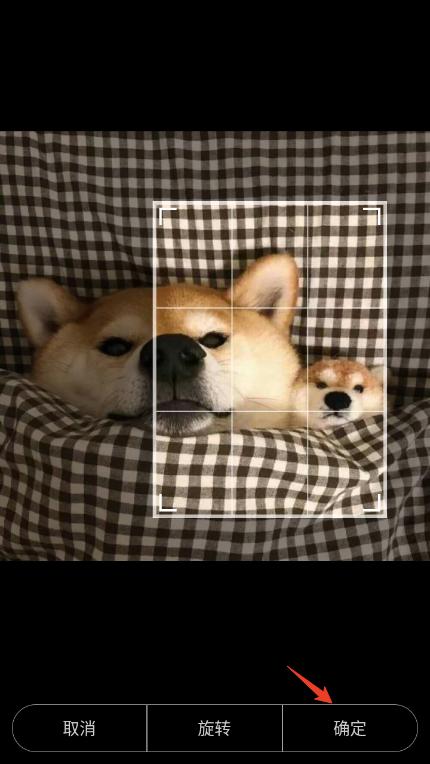 批量文字提取助手app官方版