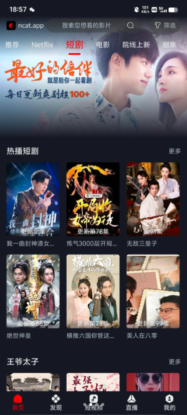 网飞猫