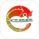 天地泰宁app v2.37.7官方版