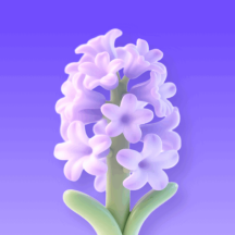 风信子花app安卓版官方下载v1.0.1最新版