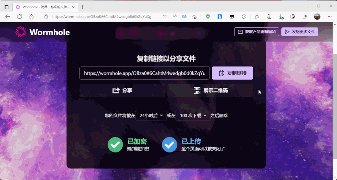 wormhole虫洞