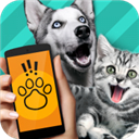 猫狗翻译器 v1.1免费版