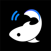 锦鲤翻译