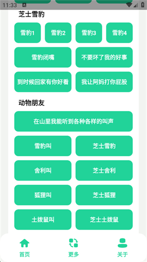 丁真盒