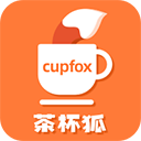 茶杯狐 Cupfox