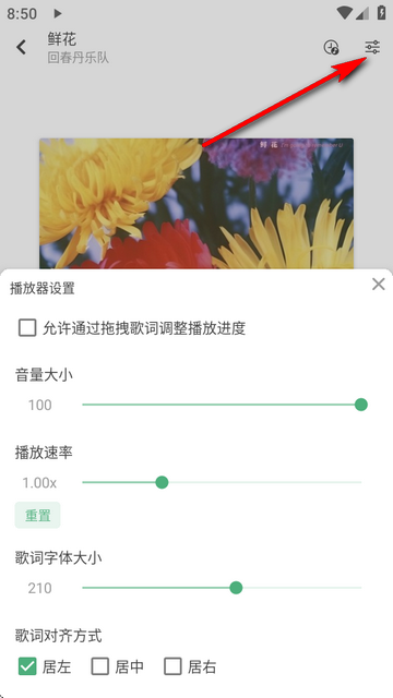 新洛雪音乐